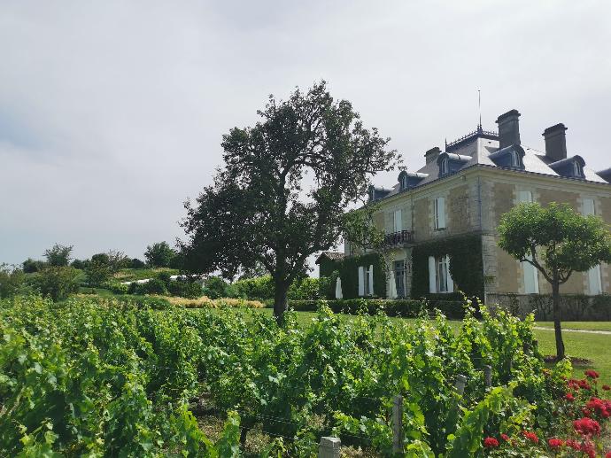 chateau-haut-bailly