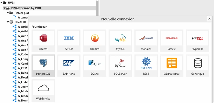 myreport odata divalto